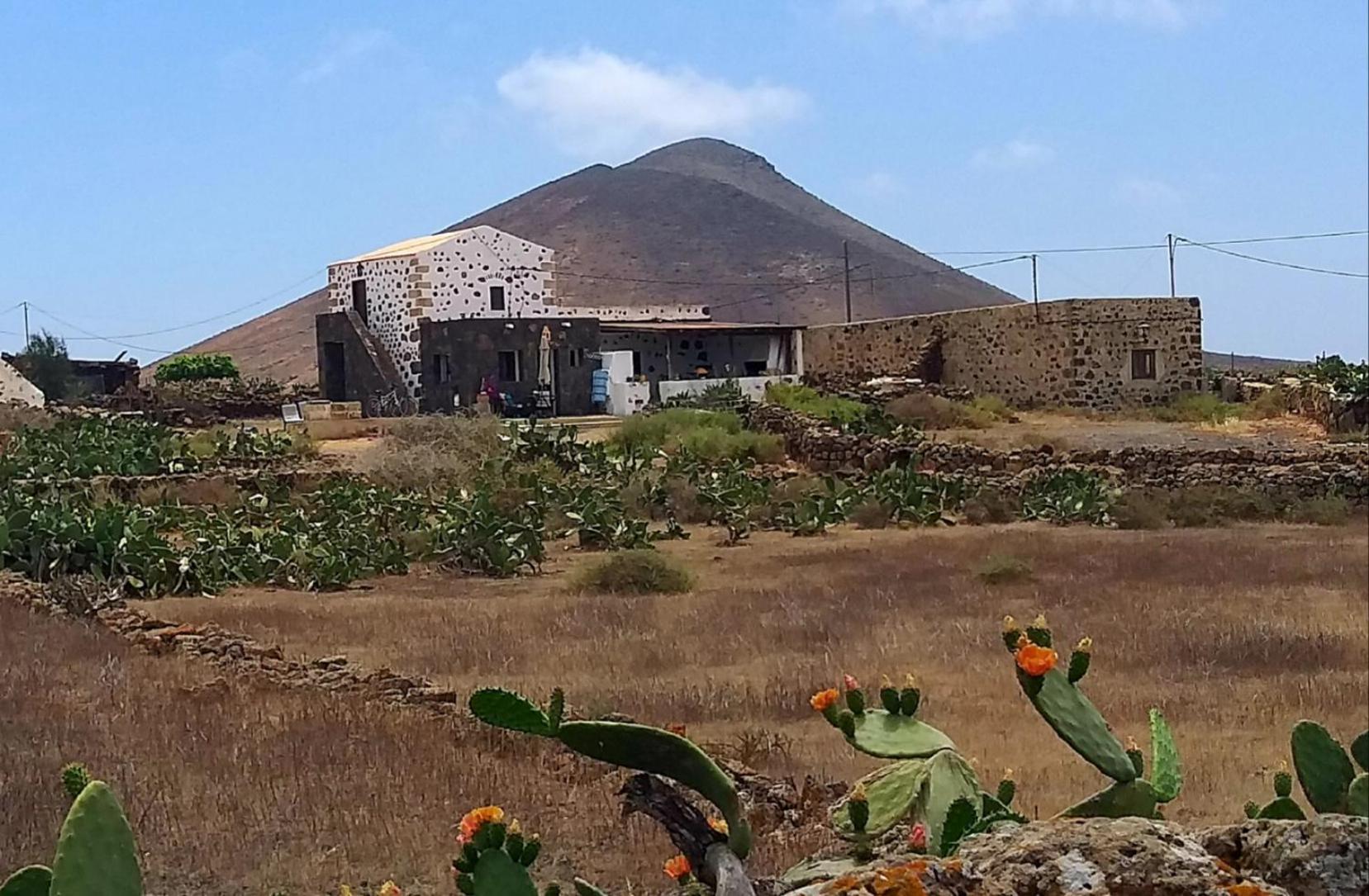 Lovely Cottage La Oliva Exterior foto